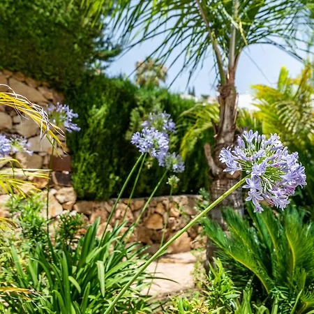 Luxury 3 Bed With Heated Pool - Nueva Andalucia Villa